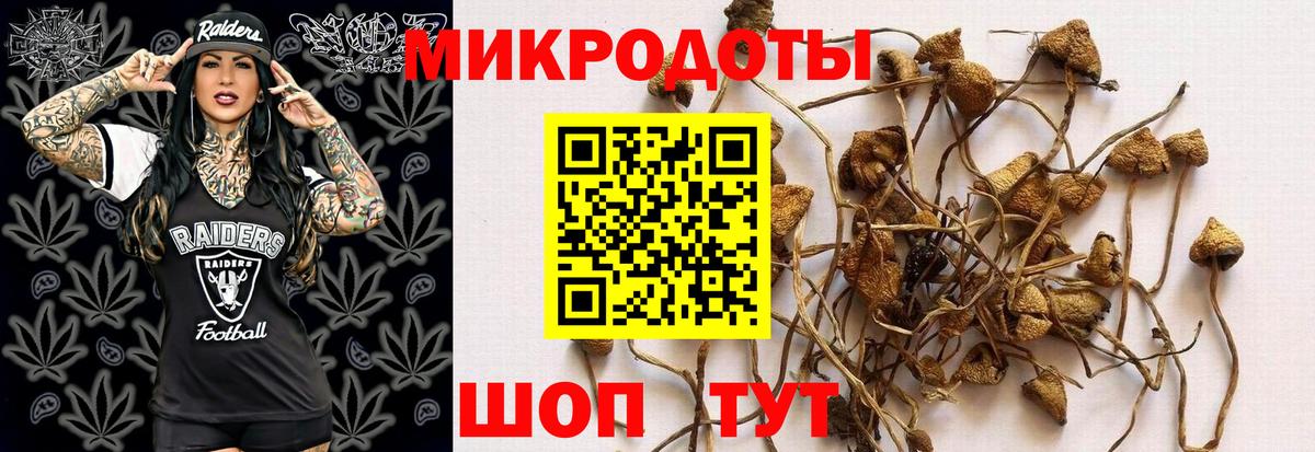 Лянтор  наркошоп  Вход с VPN  Псилоцибиновые грибы GOLDEN TEACHER 